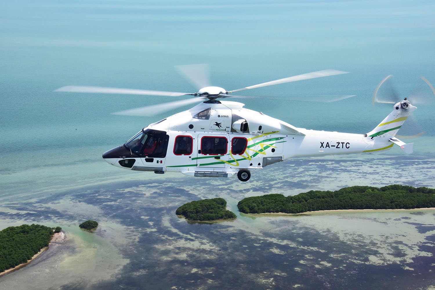H175_Copyright_Fernando Dominguez