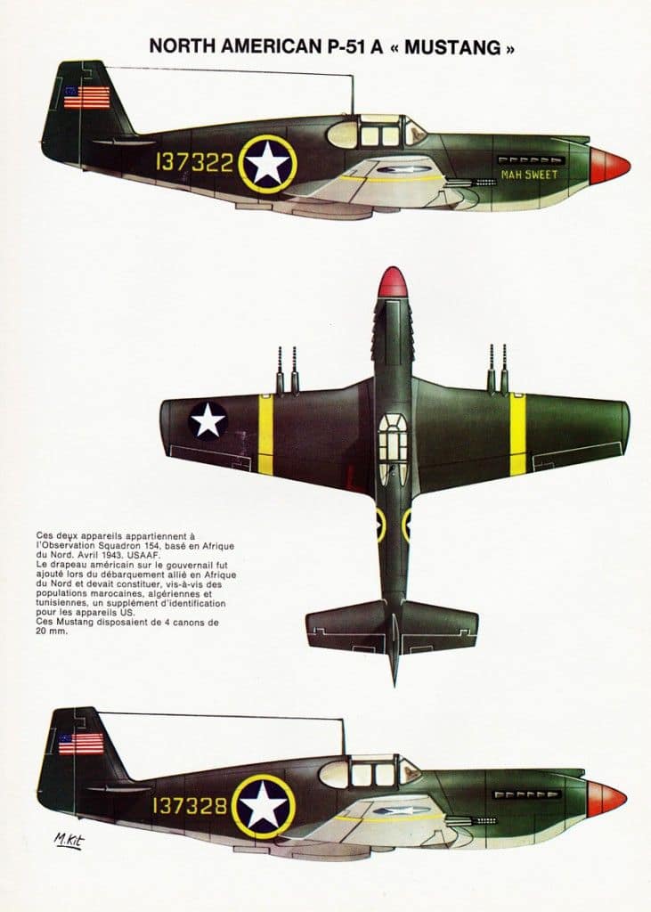 AAE_P51 Mustang
