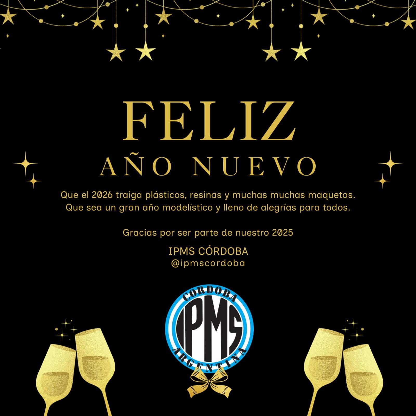 IPMS Córdoba – Balance Anual 2025
